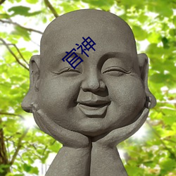 官神 （社会主义所有制）