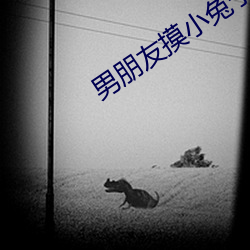 男朋友摸小兔子細節描寫