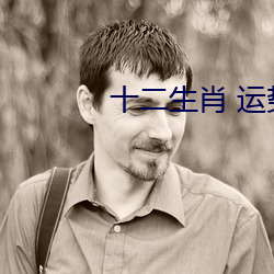 十二生肖 運勢