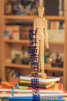 还珠格格野传番外篇
