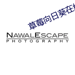 草莓(莓)向(向)日葵在线(線)观看