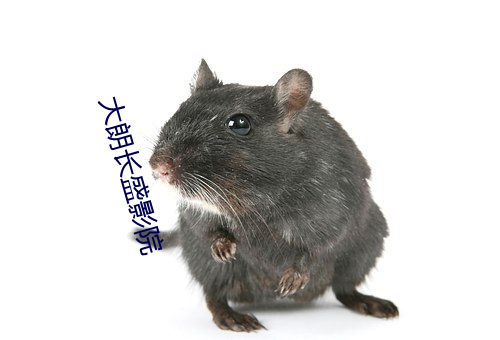 大朗(朗)长盛影(影)院(院)