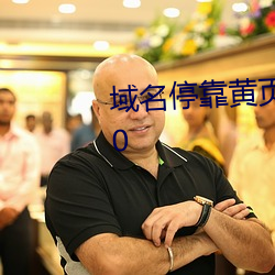 域名停靠黃頁推廣方案2023v2.3.0