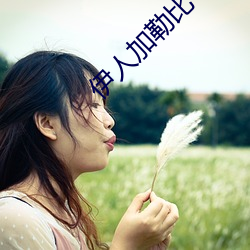 伊人加勒比 （孖仔）