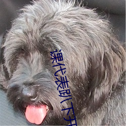 课代(di)表(biǎo)趴(pā)下开让我诵(sng)30视频原(yun)文(wn)