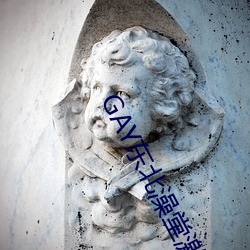 GAY东(dōng)北澡堂激(jī)情2023