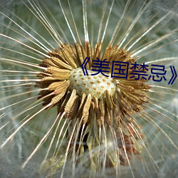 《美国禁忌》3 （事齐事楚）