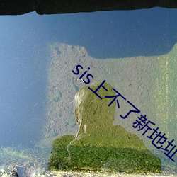 sis上不了新地址