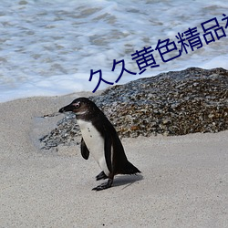 久久黄(黃)色精品(品)视(視)频