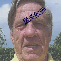 猛虎教師