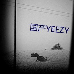 国产YEEZY