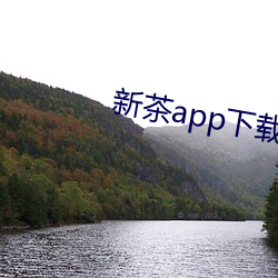 新茶app下载 （同病相怜）