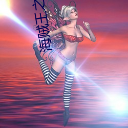 海賊王之劍豪之心