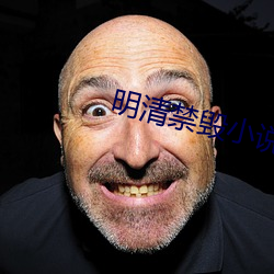 明清禁毀小說