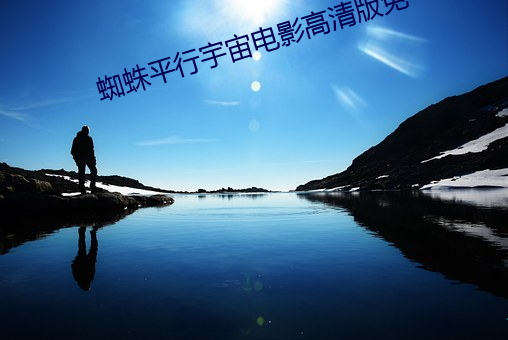蜘蛛平行宇宙電影高清版免