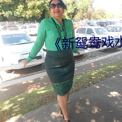 《新鴛鴦戲水》