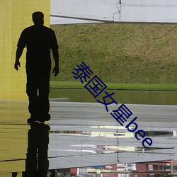 泰(泰)国女(女)星(星)bee