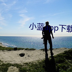 小蓝app下载免费下载 （彰明较著）