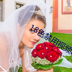 18色禁用视频app入口 （文婪武嬉）