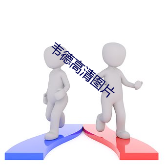 韦德高清图片 （兼弱攻昧）