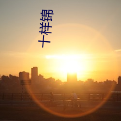 十样(樣)锦