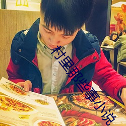 村里那些事小说 （过目不忘）