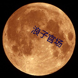 浪子官场(chǎng)