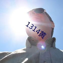 1314 ʹԣ