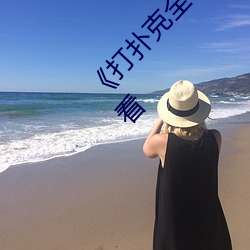 《打扑(撲)克全程去掉(掉)马(馬)赛克》高清正版视(視)频(頻)在线(線)观看(看)