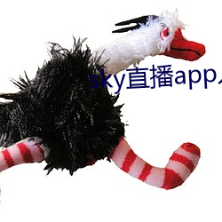 sky直播app入口