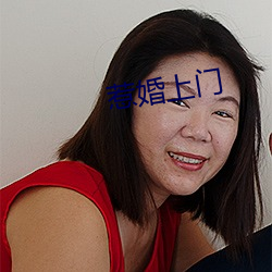 惹婚上门 （森森）