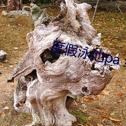 度假泳池pa 纯r