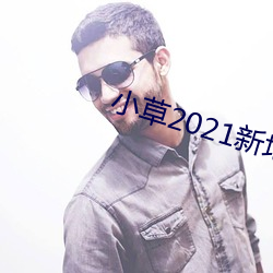 小草2021新地(dì)扯一二