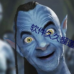 软(軟)件久久榴莲视(視)频