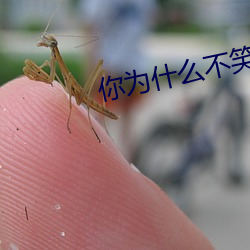 你(你)为(爲)什么不笑了(了)