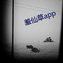 羞仙草app （是非颠倒）