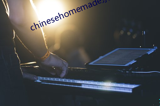 chinesehomemade京东