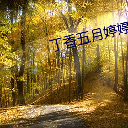 丁(丁)香五月婷婷五(五)月天(天)蜜桃