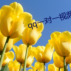 qq一(一)对一视频聊天(天)服务(務)