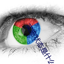 实施状态是什么意思
