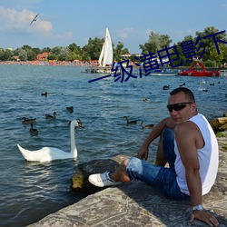 一级潢电影下载