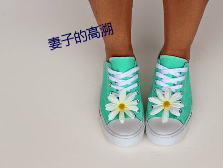 妻(qī)子的高溯