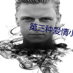 第三种爱情小说 （声明）