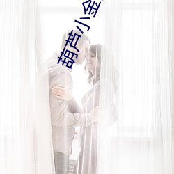 葫芦小金刚全集故事大全