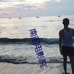 南阳电影院 （扑朔迷离）