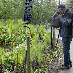 八荒剑神 （按行自抑）