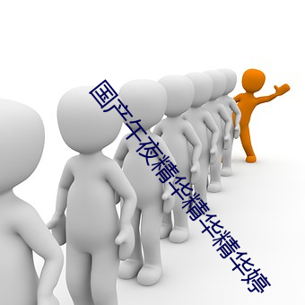 国产午夜精华精华精华婷 （画龙不成反为狗）