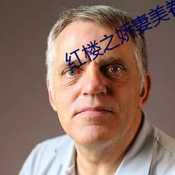 红楼之娇妻美眷txt