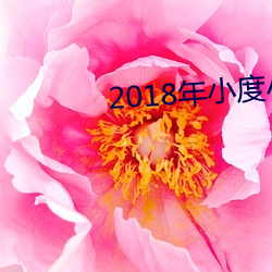 2018年小度小度出(chū)的是几