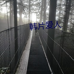 韓片愛人